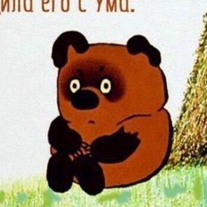 Meet your Posher, Karina